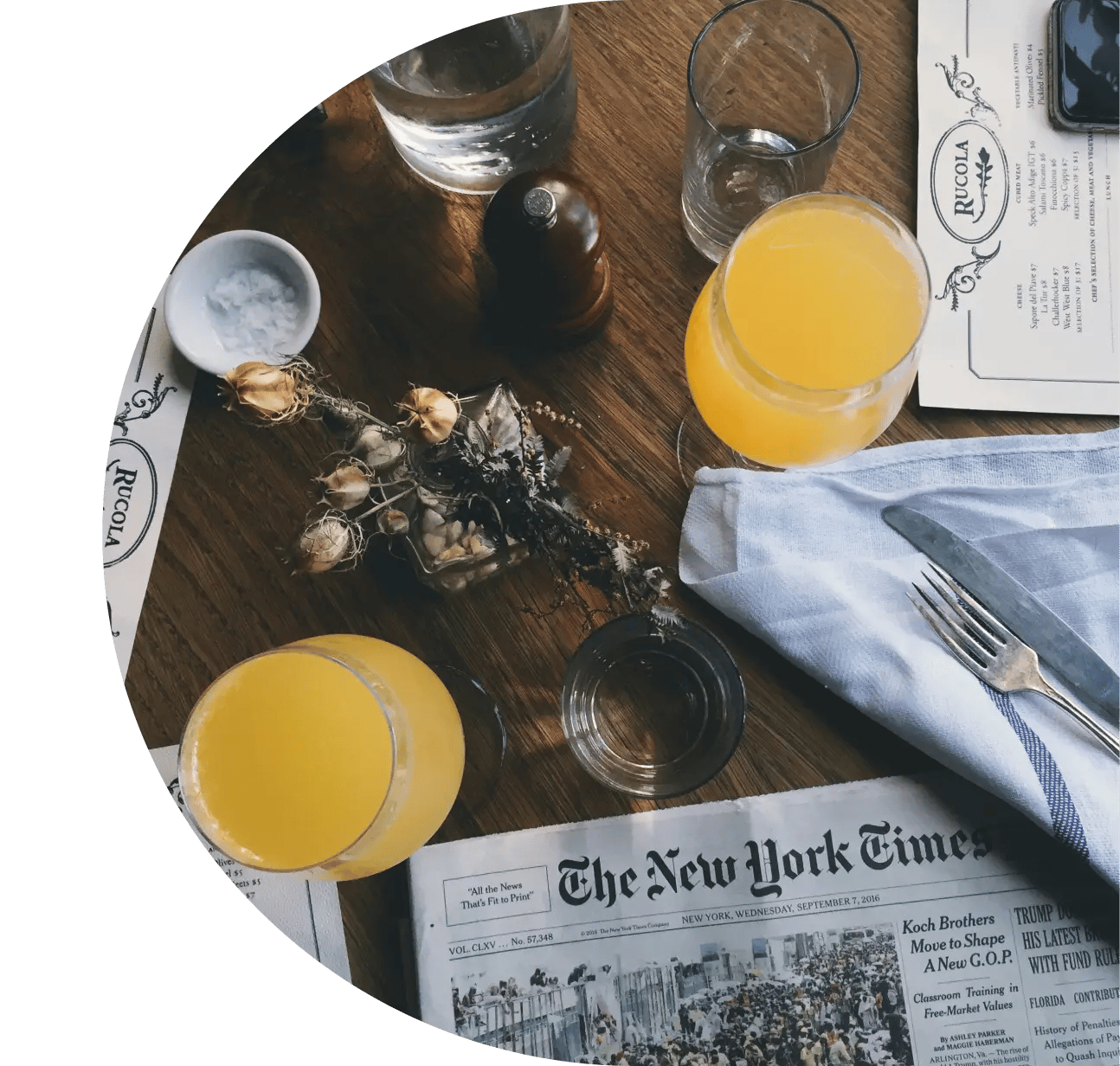 mews-press